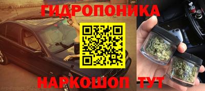 Альфа ПВП Лесосибирск