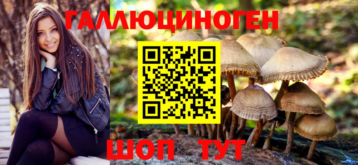 Галлюциногенные грибы GOLDEN TEACHER  Вход с VPN  Знаменск 